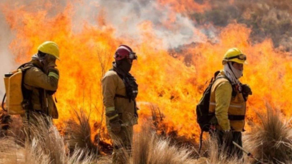 El Gobierno tuvo que ceder y dejó afuera la reforma que habilitaba cambiar el uso de tierras incendiadas El Gobierno tuvo que ceder y dejó afuera la reforma que habilitaba cambiar el uso de tierras incendiadas