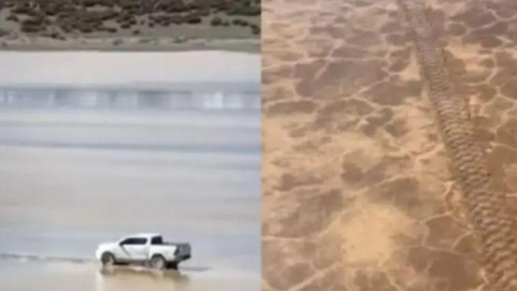 Una Hilux dejó huellas de hasta 25 centímetros en un área protegida de San Juan y la recuperación del suelo podría tardar 100 años Una Hilux dejó huellas de hasta 25 centímetros en un área protegida de San Juan y la recuperación del suelo podría tardar 100 años