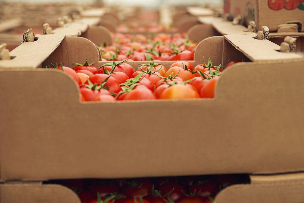 El Gobierno facilita la importación de alimentos y avanza con la desregulación alimentaria El Gobierno facilita la importación de alimentos y avanza con la desregulación alimentaria