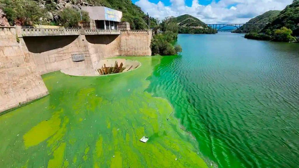 El Lago San Roque paga el costo de más de un siglo de contaminación causado por la actividad humana El Lago San Roque paga el costo de más de un siglo de contaminación causado por la actividad humana