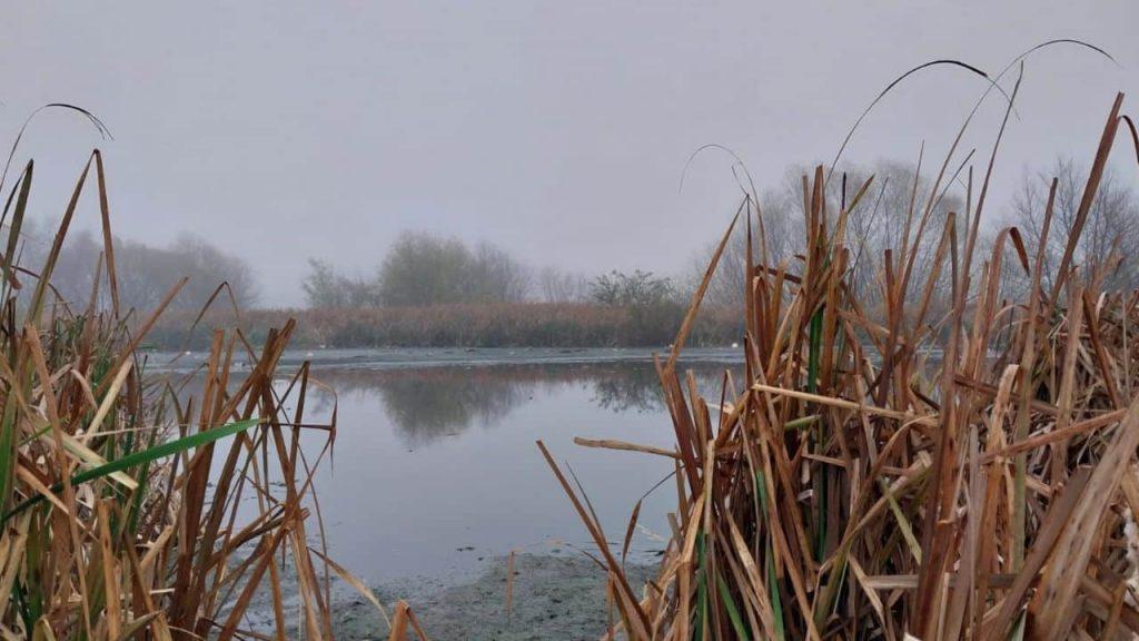 Denuncian que la Provincia recortó un 30% la Reserva Natural Laguna de Rocha con un artículo oculto en la Ley de Presupuesto Denuncian que la Provincia recortó un 30% la Reserva Natural Laguna de Rocha con un artículo oculto en la Ley de Presupuesto