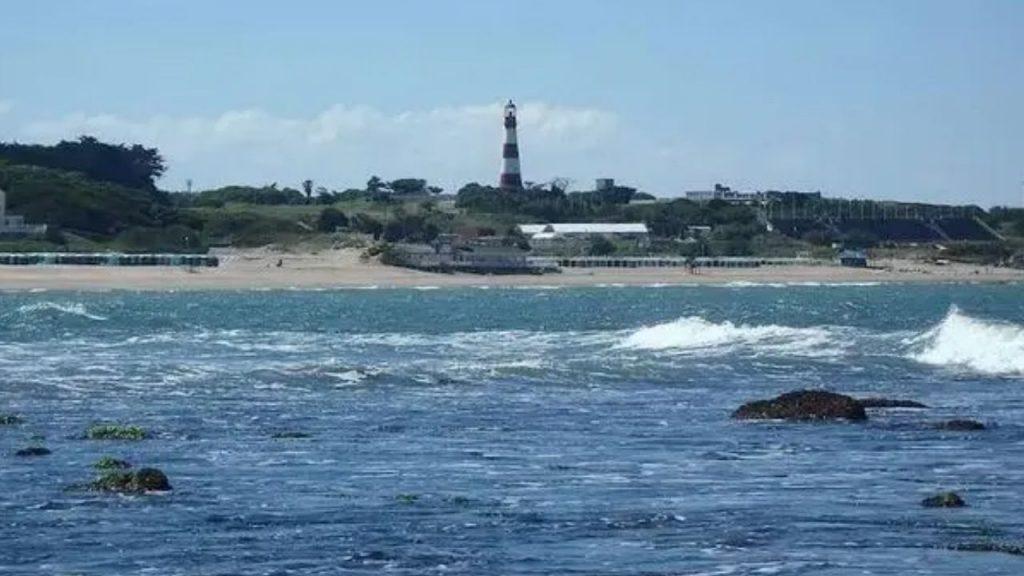 La bajante dejó al descubierto un ecosistema único frente a Mar del Plata La bajante dejó al descubierto un ecosistema único frente a Mar del Plata