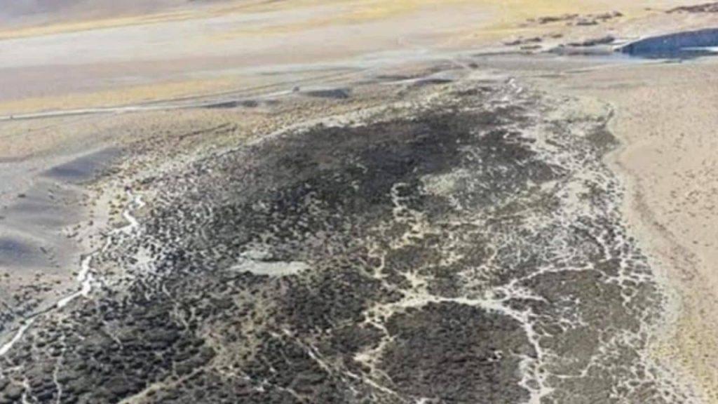 La minera Livent secó un río en Catamarca y quedó impune mientras se multiplican permisos para explotar en la zona La minera Livent secó un río en Catamarca y quedó impune mientras se multiplican permisos para explotar en la zona