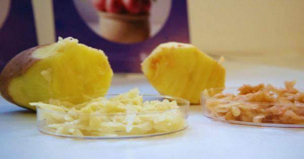 dos papas cortadas y rayadas apoyadas en una mesa blanca