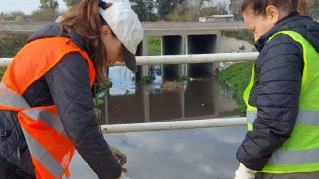 El novedoso método que la UNSAM utiliza para limpiar el río Reconquista El novedoso método que la UNSAM utiliza para limpiar el río Reconquista