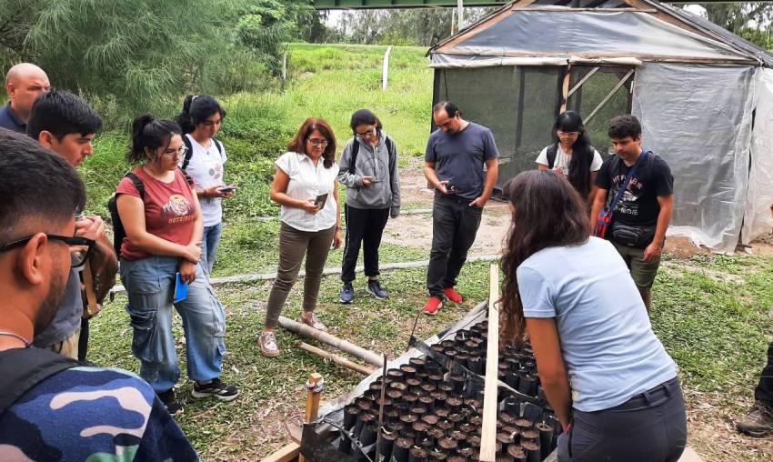 Un grupo de personas observa detenidamente varias macetas pequeñas con brotes al aire libre, junto a un vivero o invernadero. Crédito: Kathryn Keller