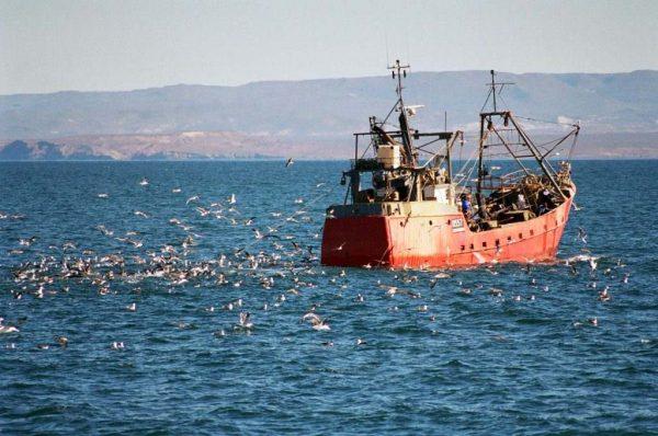 Un barco pesquero en el mar