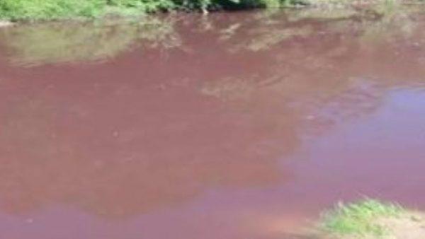 un arroyo de Entre Ríos con glisofato en el agua