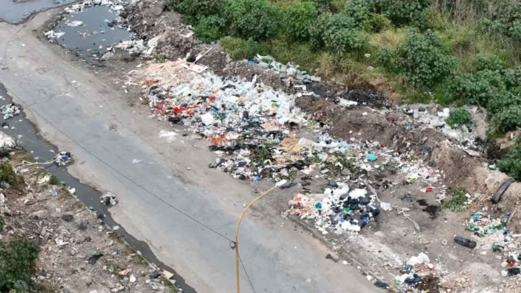 basura, agua estancada y restos de poda al costado de la calle