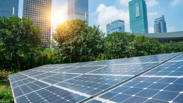 paneles solares, detrás arboles y más atrás unos seis edificios de gran altura