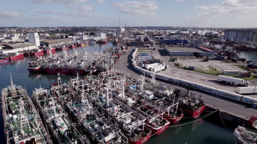 Vista de un puerto con varias embarcaciones estacionadas. Crédito: Circulo de política ambientales