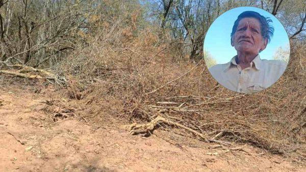 Rajas y restos de árboles en un suelo que sufrió un desmonte y la cara de uno de los testigos de la comunidad indígena