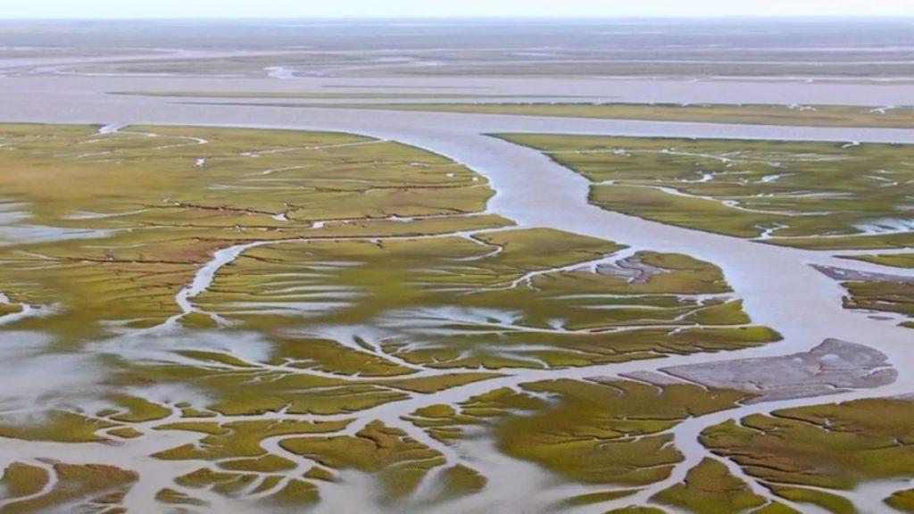 Bahía Blanca produce plástico a gran escala y ahora encuentra microplásticos en su estuario Bahía Blanca produce plástico a gran escala y ahora encuentra microplásticos en su estuario