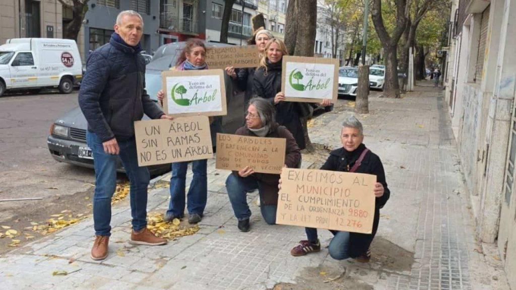 Organizaciones ambientales apuntan contra el municipio de La Plata por tala indiscriminada en el Parque Saavedra Organizaciones ambientales apuntan contra el municipio de La Plata por tala indiscriminada en el Parque Saavedra