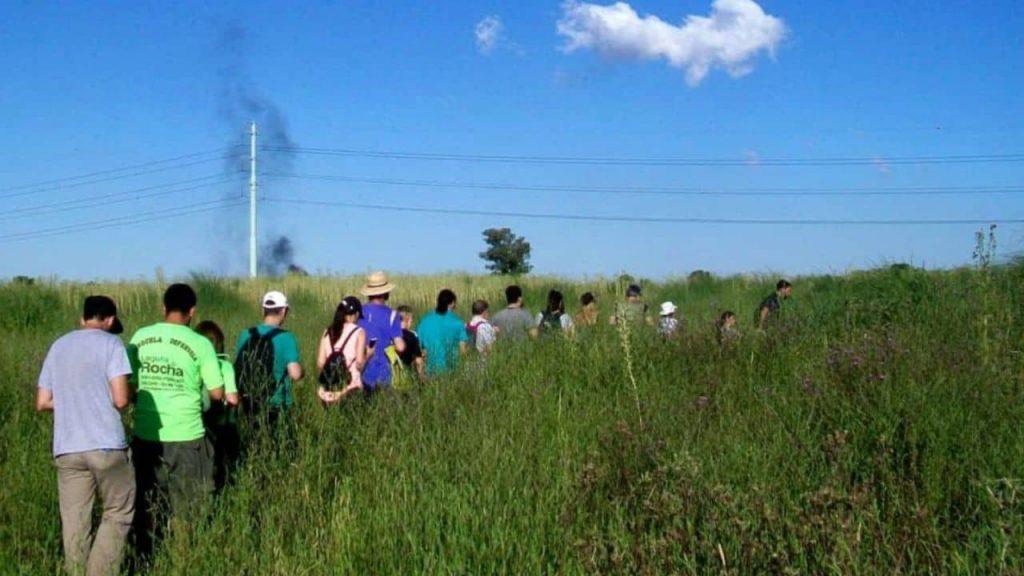 La Provincia recortó 490 hectáreas de la Reserva Laguna de Rocha y crecen las alertas por el avance inmobiliario La Provincia recortó 490 hectáreas de la Reserva Laguna de Rocha y crecen las alertas por el avance inmobiliario