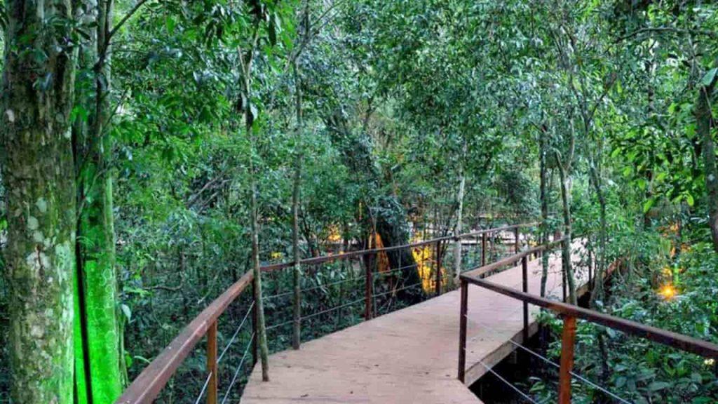Frenan un proyecto turístico en la Reserva Iryapú por su impacto ambiental y deberán restaurar el área afectada Frenan un proyecto turístico en la Reserva Iryapú por su impacto ambiental y deberán restaurar el área afectada