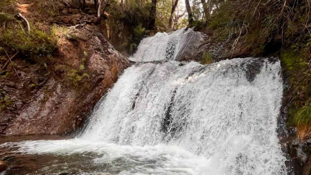una pequeña cascada de agua en un bosque