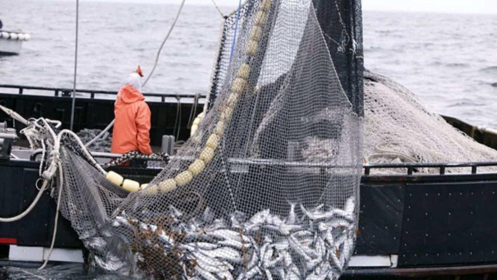 Proponen prohibir la pesca y el turismo en Malvinas para presionar al Reino Unido Proponen prohibir la pesca y el turismo en Malvinas para presionar al Reino Unido