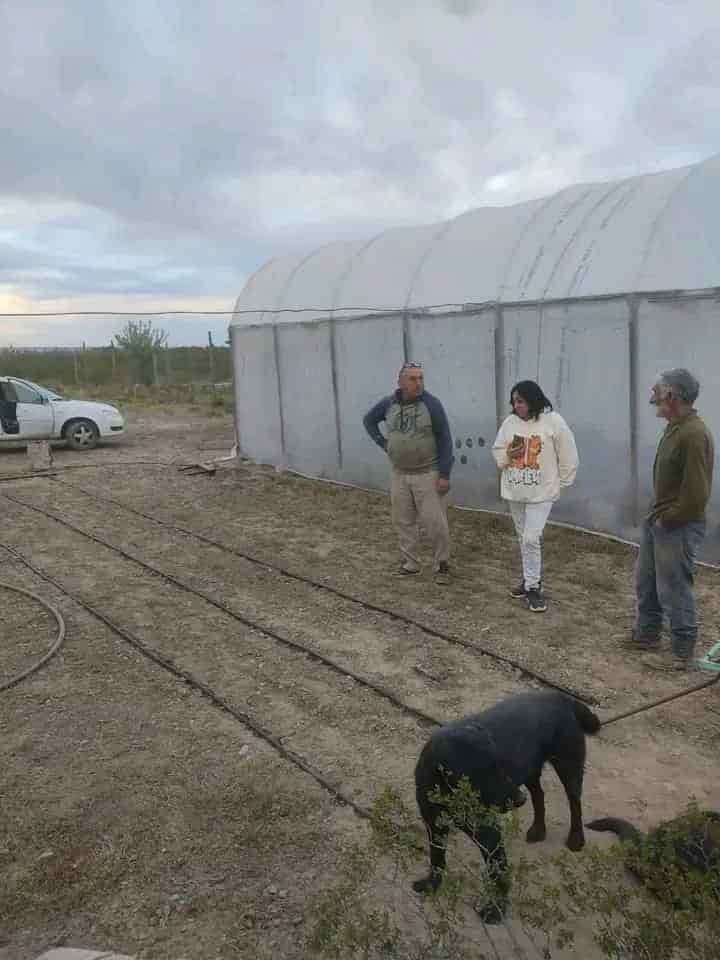 Tres productores de Río Negro charlando, un perro, un auto y una carpa de cultivos completan la imagen