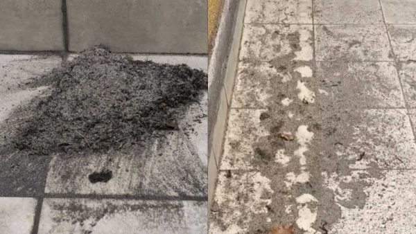 Presuntos vuelcos de vinaza, un residuo líquido generado durante la producción de alcohol a partir de la caña de azúcar