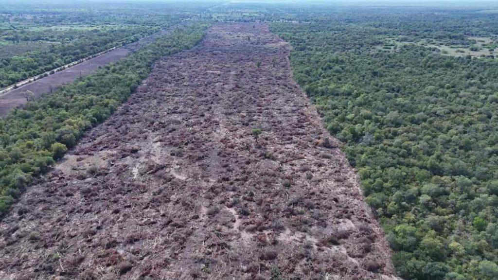 Fotografía aérea de una amplia parcela deforestada con vegetación seca entre campos de cultivo y bosque nativo en el Chaco.