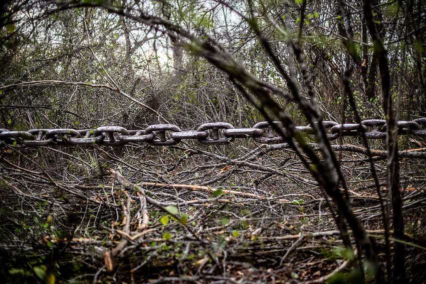 Greenpeace detectó y documentó dos topadoras. Crédito: Tomás Cuesta / Greenpeacedestruyendo mediante inmensas cadenas, el bosque y territorio de comunidades wichí de la ruta 86, en las cercanías de Tartagal.