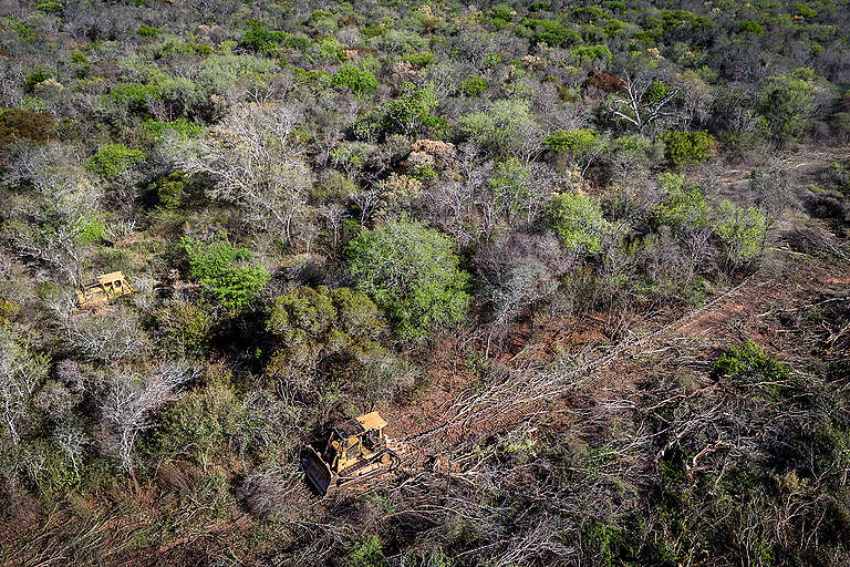 Greenpeace detectó y documentó dos topadoras destruyendo mediante inmensas cadenas, el bosque y territorio de comunidades wichí de la ruta 86, en las cercanías de Tartagal.