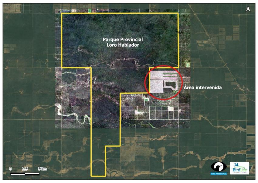 Mapa satelital que delimita el Parque Provincial Loro Hablador y señala en rojo un área intervenida por desmonte.