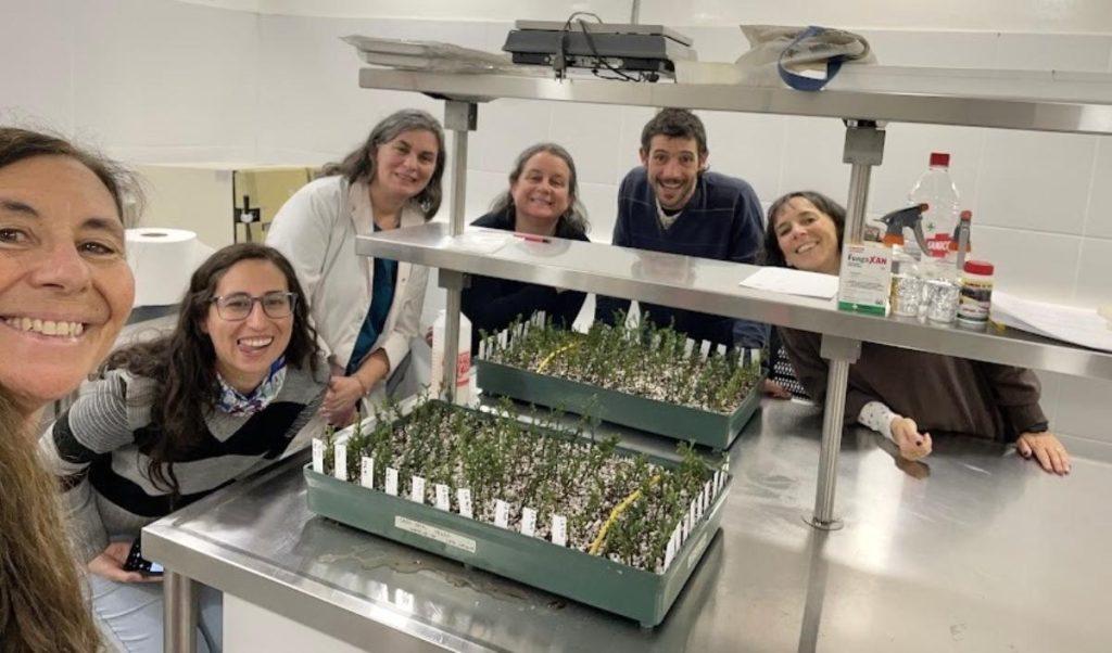 Científicos lanzan un proyecto para conservar una especie milenaria en peligro de extinción en la Patagonia Científicos lanzan un proyecto para conservar una especie milenaria en peligro de extinción en la Patagonia