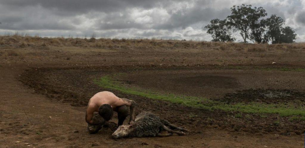 Más de 140 científicos piden a OMS declarar la emergencia climática Más de 140 científicos piden a OMS declarar la emergencia climática