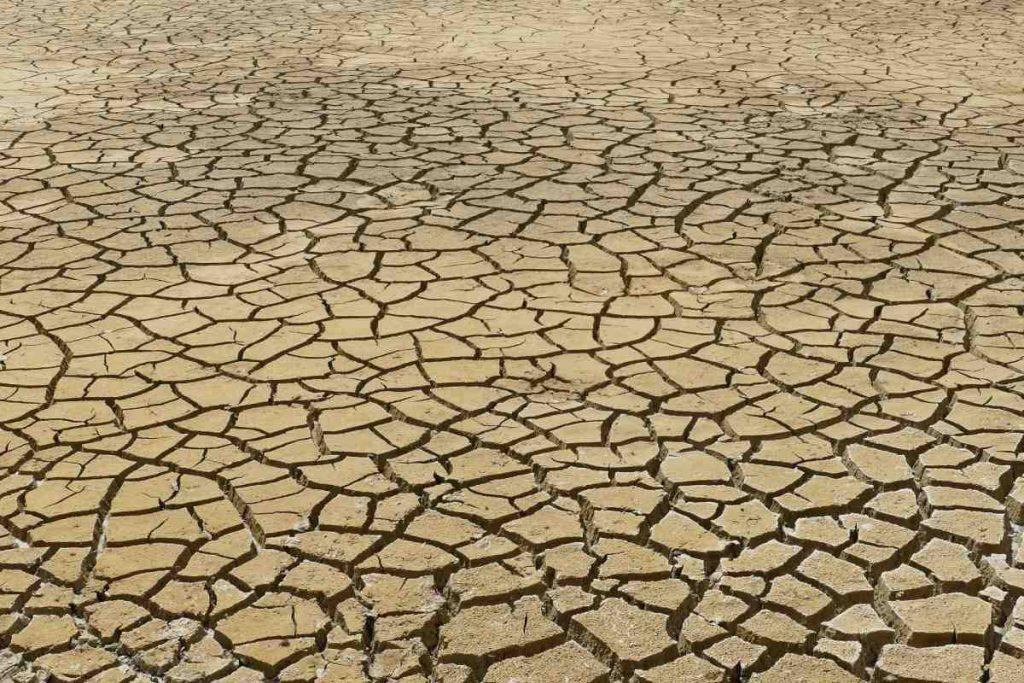 Suelo agrietado y seco por la falta de agua, con grandes grietas en la superficie de la tierra.