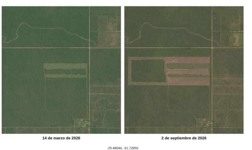 Comparación de dos imágenes satelitales que muestran el avance de la deforestación en un terreno entre marzo y septiembre de 2026.