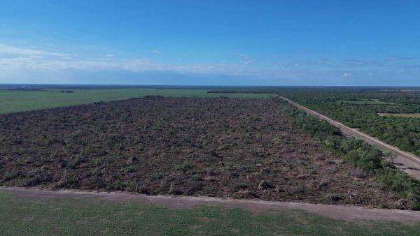 Vista aérea de un área de vegetación arrasada y desmontada junto a parcelas de bosque y campos de cultivo.