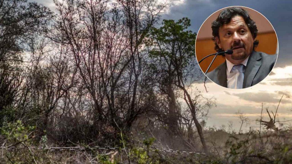 Acusan al gobierno de Gustavo Sáenz de permitir el desmonte de miles de hectáreas en Salta Acusan al gobierno de Gustavo Sáenz de permitir el desmonte de miles de hectáreas en Salta