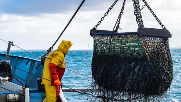 Un pescador a bordo de un buque captura peces con una red industrial izada mediante un sistema de cadenas en alta mar