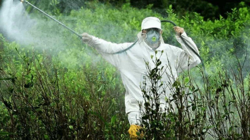 un hombre equipado con traje, botas y mascarilla fumiga un campo en Misiones