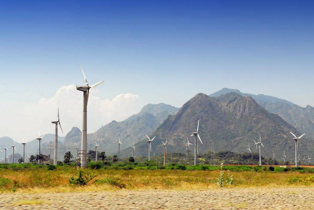 La biodiversidad enfrenta un deterioro global cada vez más difícil de revertir La biodiversidad enfrenta un deterioro global cada vez más difícil de revertir