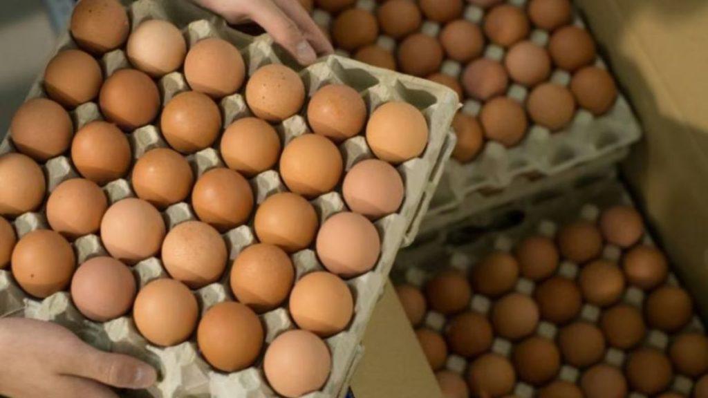 Vista superior de una persona sosteniendo un maple o cartón lleno de huevos marrones, con otras cajas de huevos apiladas y llenas al fondo
