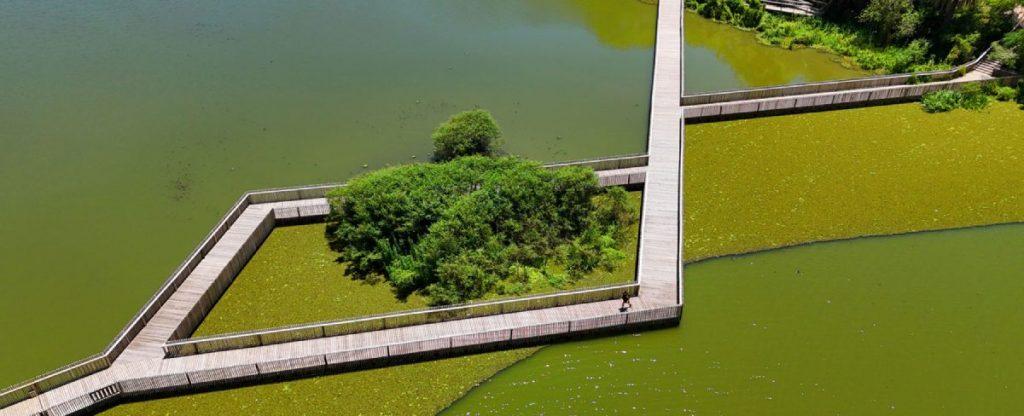 La Ciudad abrirá 14 hectáreas de la Reserva Ecológica Costanera Sur La Ciudad abrirá 14 hectáreas de la Reserva Ecológica Costanera Sur